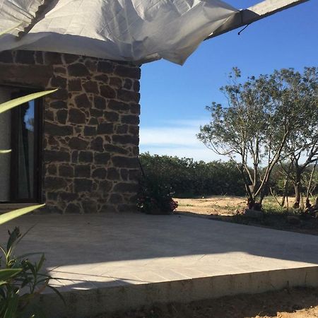 Sa Domo De Mannoi Su Catreathu Villa โอโรเซย ภายนอก รูปภาพ